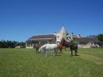 Spectacular 110 has farm Uruguay Punta Del Este